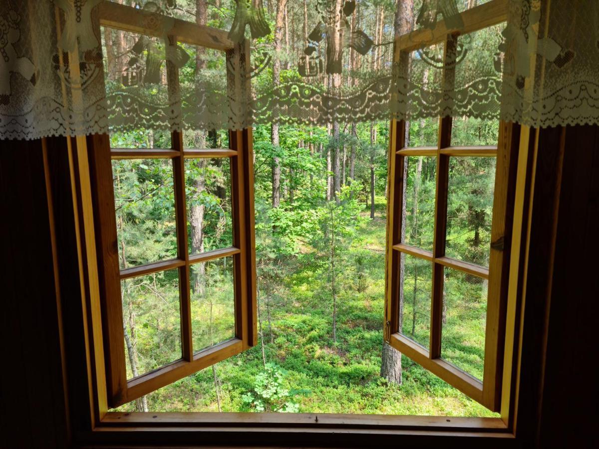 Domek Wilga Ferienhaus Wilga